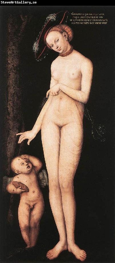 CRANACH, Lucas the Elder Venus and Cupid dsf